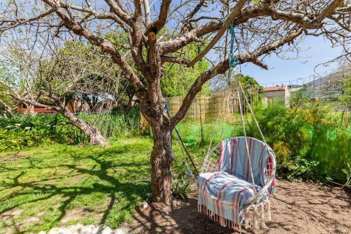 Monte Frio Alpacas Villa Nariz Exterior foto